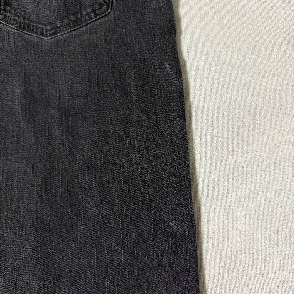 Levis levis 569